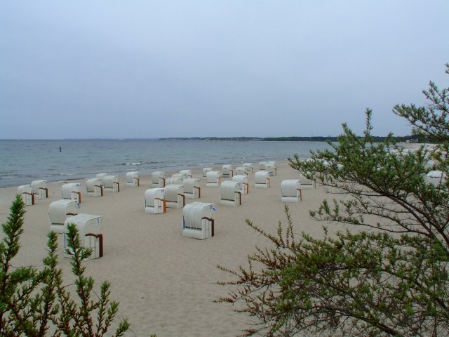 Kreisförmig angeordnete Strandkörbe bei Niendorf